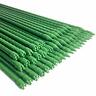 783979570384 Sticks Waenlir Garden Stakes Inch Sturdy Plant Tomato