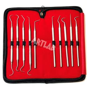 Scl-pr-00 Artlab Premium Set Of 12 Stainless Steel Precision Micro Probe Combostraight Single