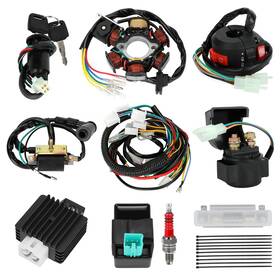 Sh-xs11 Shiqinha Complete Wiring Harness Kit Compatible With Tao Coolster 125cc 110cc Chinese