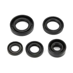 Aqxreight Engine Oil Seal, Steel Alloy Set Normal, Popular. Fixed Price $20.86.