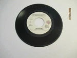 The Nitty Gritty Dirt Band: Fire In Sky / Cadillac Ranch Warner 28547. Fixed Price $5.00.