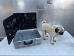 Jensen Tools JTK-87 Electronics Box Super-tough Case Gray 19"X 15-1/2"X10". Fixed Price $147.00.