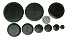 50 Piece Flush Mount Black Hole Plug Assortment For Auto Body And Sheet. Fixed Price $18.99.