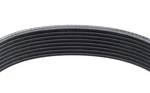 Goodyear Belts 1080878 Serpentine 8-RIB 87.8" For Freightliner Condo.... Fixed Price $80.66.