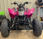 Honda Trx 250EX, 250X A-arms & Shocks Widening Kit + 4/110MM 3" Wheel Spacers. Fixed Price $469.99.