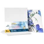Phoenix Watercolor Canvas Boards For Painting - 10X10 INCH/6 Pack, 100% Cotto.... Fixed Price $27.69.